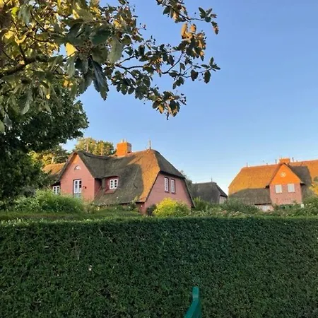 Sonnenblume * Oevenum