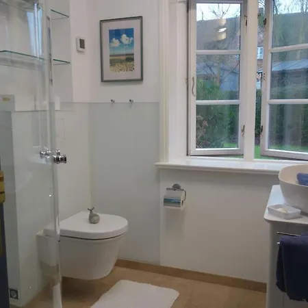 Sonnenblume * Oevenum